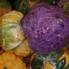 Ein violetter Blumenkohl liegt verpackt zwischen gelben und grünen Blumenkohlen.