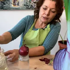 Frau zieht Zwiebeln aus Zwiebeln. Eine Zwiebel mit Wurzeln in einem Glas, daneben eine Zwiebel auf einem Glas. Eine große Zwiebelhälfte im Vordergrund.
