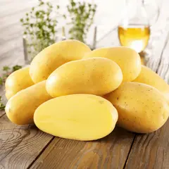Ein Haufen frischer Kartoffeln, die an ihre Herkunft erinnern, liegen auf einem Holztisch. Daneben ein Glas Öl und Kräuter.