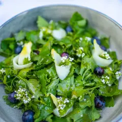 Frischer Salat mit Knoblauchsrauke, Blaubeeren und zarten weißen Blüten. Ein leichtes Gericht, das Lust auf mehr Knoblauchsrauke Rezepte macht.