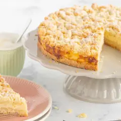 Ein saftiger Streuselkuchen mit Puddingfüllung, bestäubt mit Puderzucker. Daneben eine Tasse Kaffee und ein Stück Kuchen auf einem Teller.