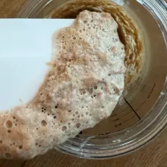 Schaumiger Sauerteig wird mit einem Spatel aus einem Glas geschabt. Die Blasen zeigen, wie lange muss sauerteig gehen, um reif zu sein.