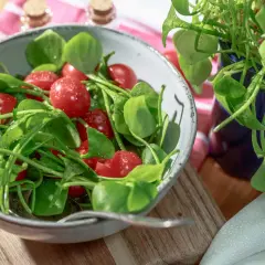 Frischer Postelein-Salat mit Kirschtomaten in einer Schüssel, bereit zum Genießen.