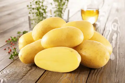 Ein Haufen frischer Kartoffeln, die an ihre Herkunft erinnern, liegen auf einem Holztisch. Daneben ein Glas Öl und Kräuter.