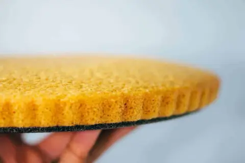 Ein goldbrauner, luftiger veganer Tortenboden wird von einer Hand gehalten. Perfekt für deine nächste Kreation!