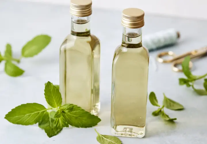 Zwei Flaschen mit selbstgemachtem Minzsirup, umgeben von frischen Minzblättern. Perfekt für Cocktails oder Limonaden.
