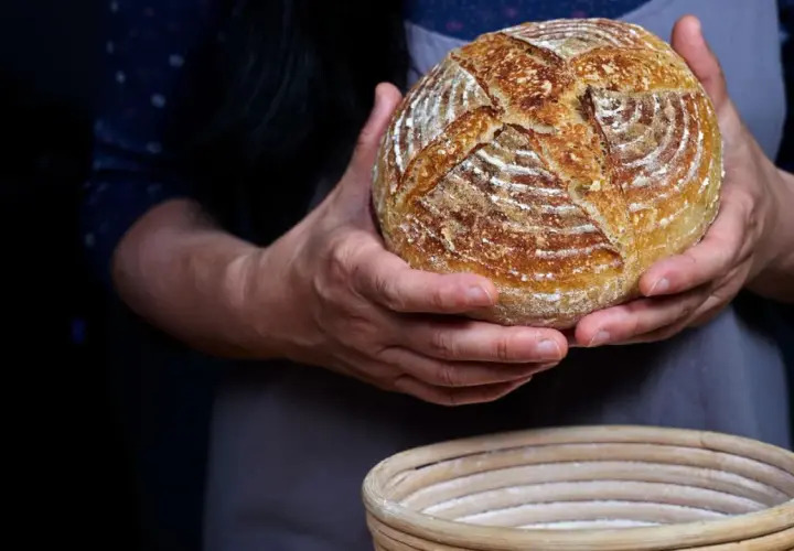 Hände halten ein frisch gebackenes Sauerteigbrot, das gerade aus dem Gärkorb genommen wurde. Der Teig ist perfekt aufgegangen.