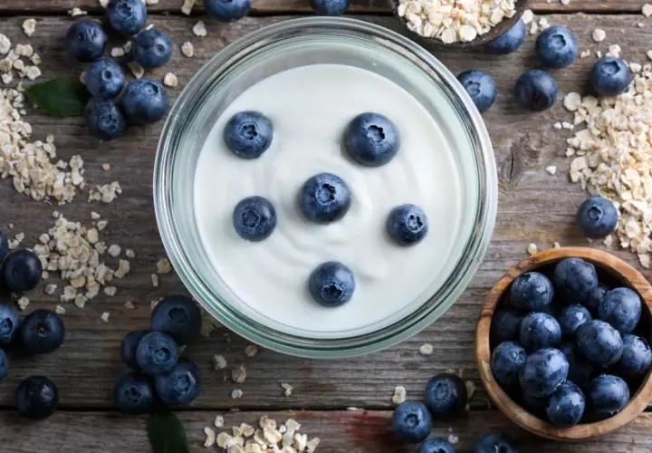 Frischer, veganer Joghurt mit Blaubeeren und Haferflocken – so einfach lässt sich veganen Joghurt selber machen.