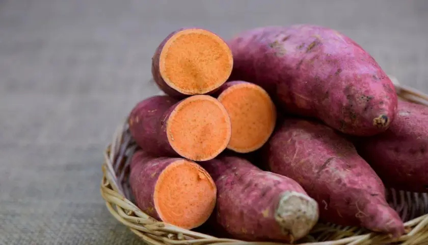Ein Korb voller tropischer Süßkartoffeln, einige ganz, andere aufgeschnitten, enthüllt ihr leuchtend orangefarbenes Inneres.