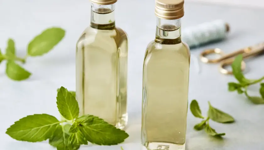 Zwei Flaschen mit selbstgemachtem Minzsirup, umgeben von frischen Minzblättern. Perfekt für Cocktails oder Limonaden.