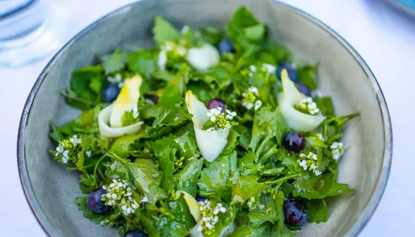 Frischer Salat mit Knoblauchsrauke, Blaubeeren und zarten weißen Blüten. Ein leichtes Gericht, das Lust auf mehr Knoblauchsrauke Rezepte macht.