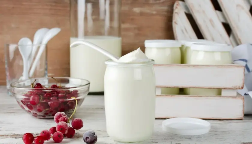 Frische rote Johannisbeeren und cremiger Joghurt in Gläsern – so einfach kann man Joghurt selber machen.
