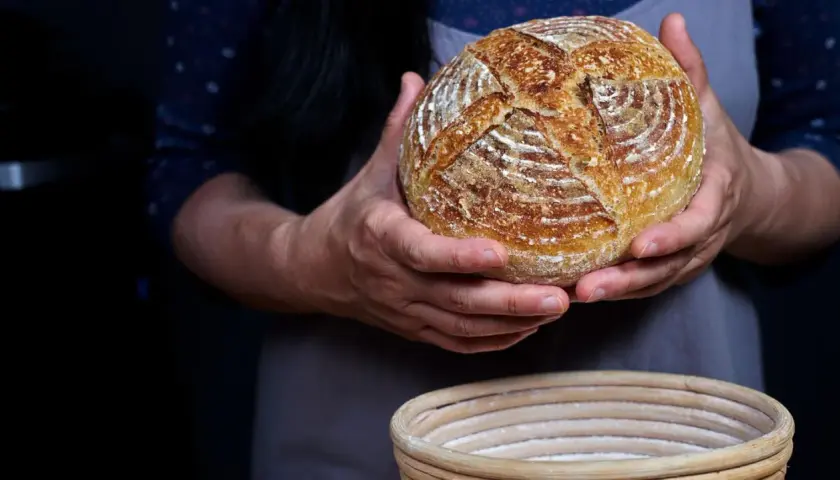 Hände halten ein frisch gebackenes Sauerteigbrot, das gerade aus dem Gärkorb genommen wurde. Der Teig ist perfekt aufgegangen.