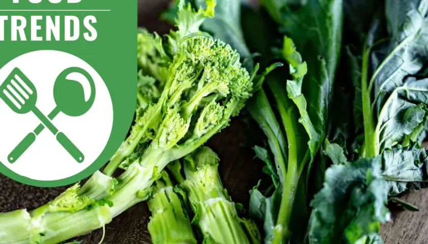 Frische Cime di rapa, ein grünes Blattgemüse, das gerade geerntet wurde und bereit ist für die Zubereitung.