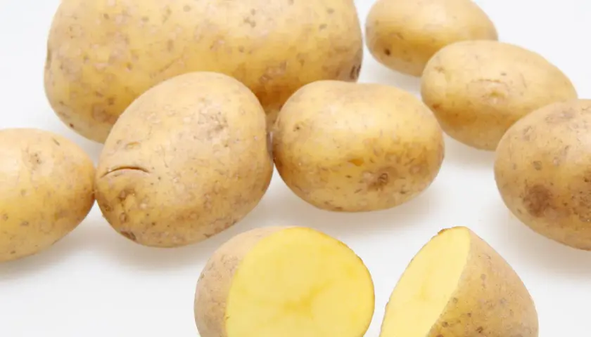 Mehrere Kartoffeln, eine davon halbiert, zeigen ihren gelben Fruchtfleisch. Der hohe Kartoffel Wassergehalt macht sie saftig.