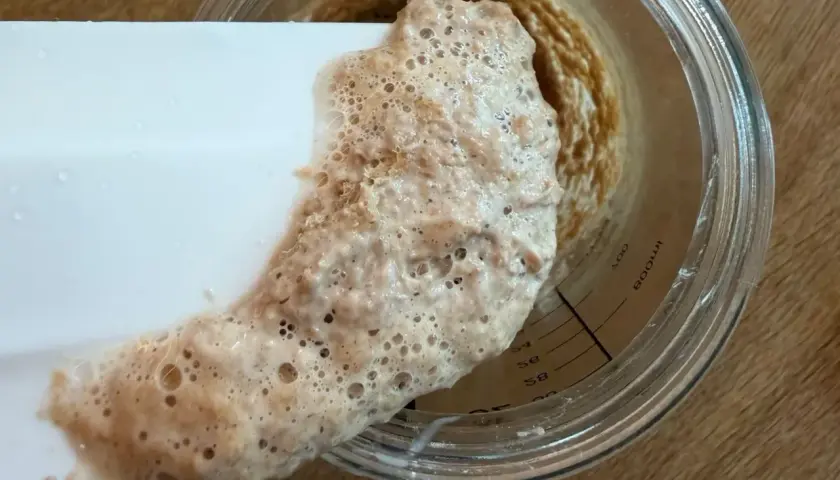 Schaumiger Sauerteig wird mit einem Spatel aus einem Glas geschabt. Die Blasen zeigen, wie lange muss sauerteig gehen, um reif zu sein.