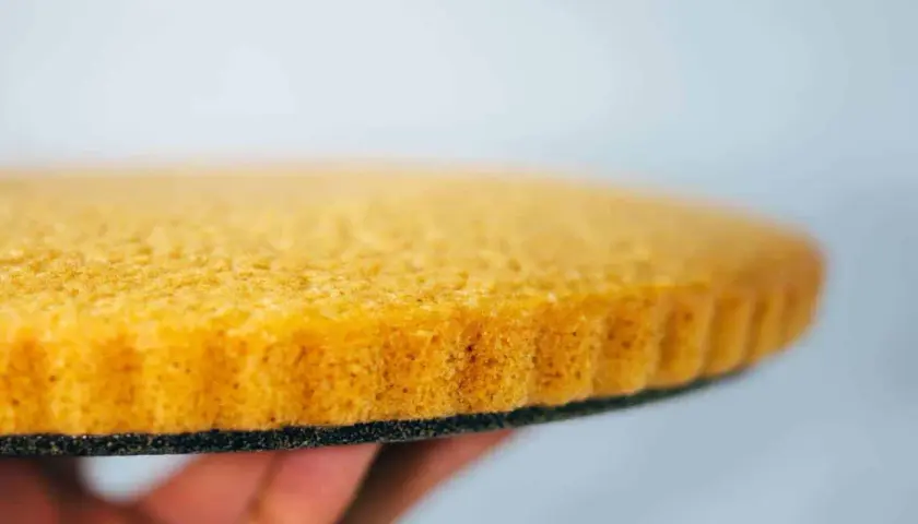 Ein goldbrauner, luftiger veganer Tortenboden wird von einer Hand gehalten. Perfekt für deine nächste Kreation!