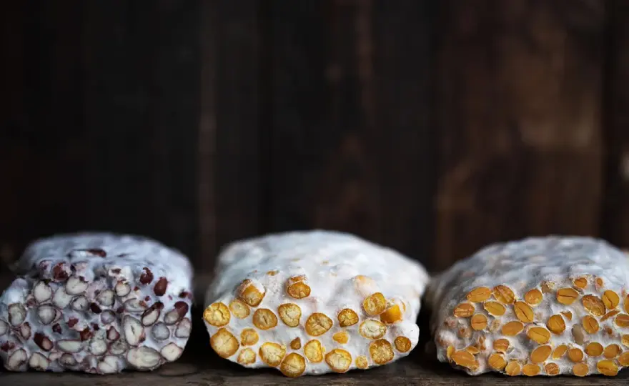 Tempeh selber machen - So gelingt die Fermentation zu Hause!