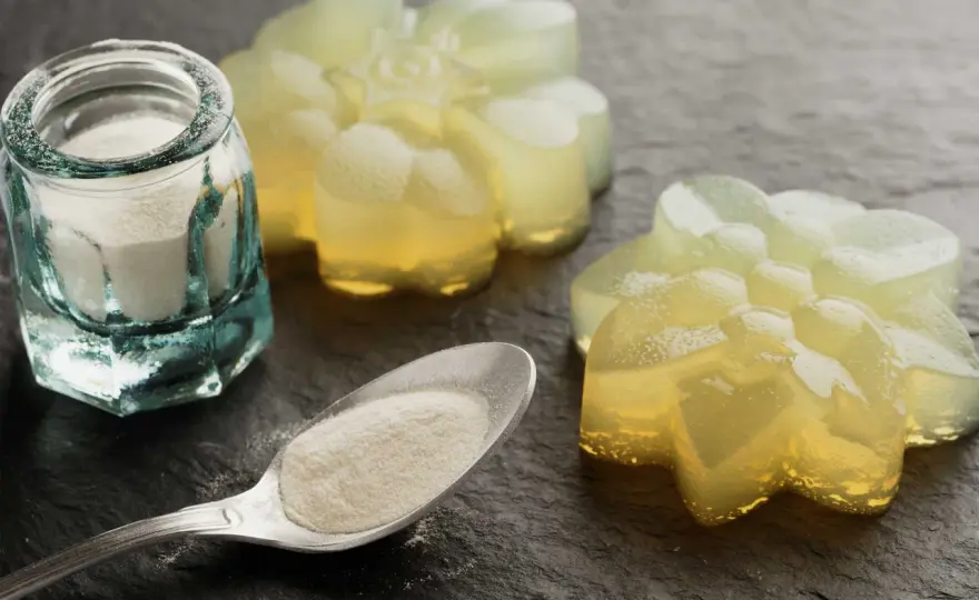 Agar-Agar vs. Gelatine - Wann welches Geliermittel?