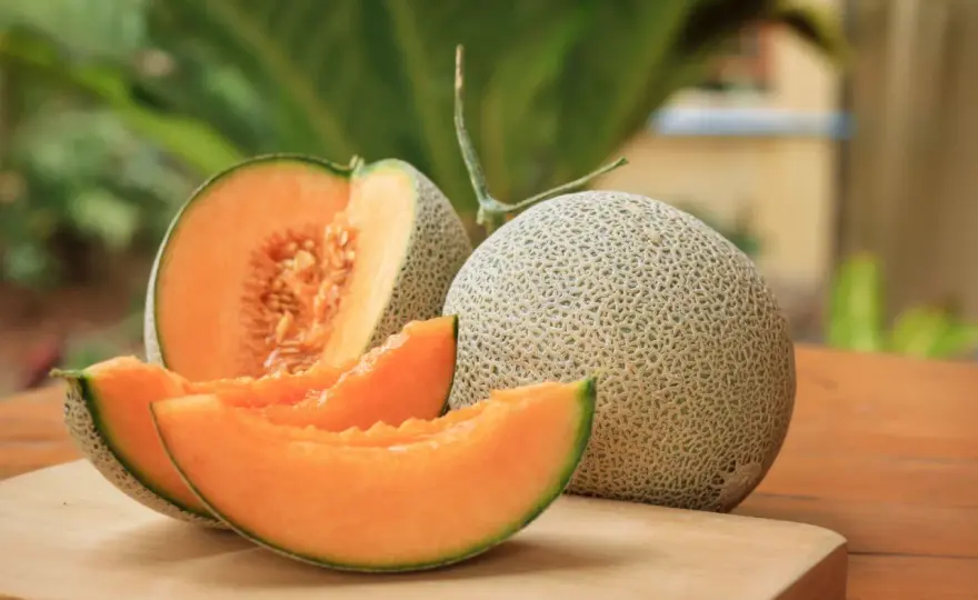 Cantaloupe-Melone kaufen - So erkennen Sie Reife & Aroma
