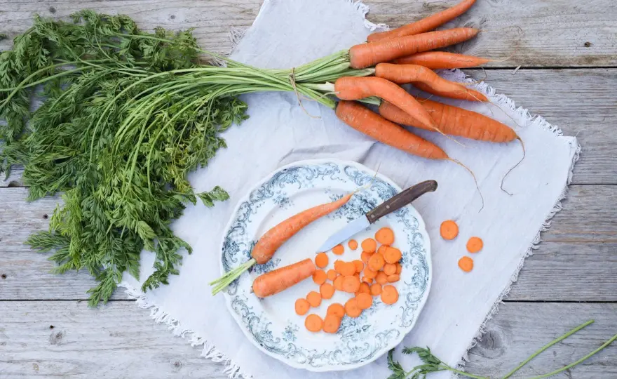 Möhren anbauen - So gelingen perfekte Karotten im Garten