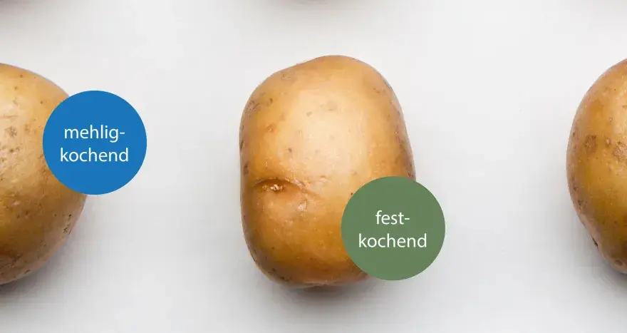 Kartoffel-Guide - Herkunft, Sorten & Qualität für die Küche