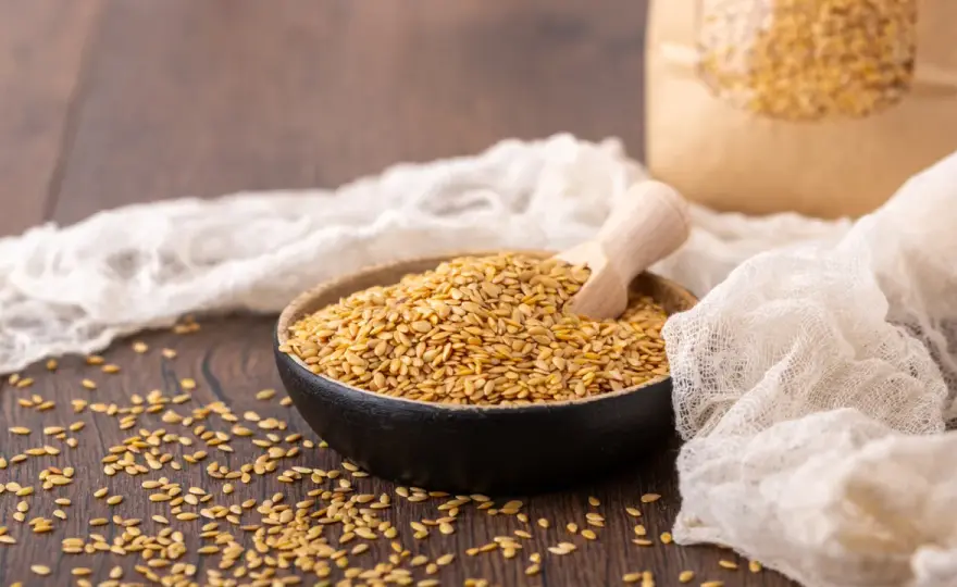 Leinsamen-Vergleich - Braun vs. Gold: Was ist besser?