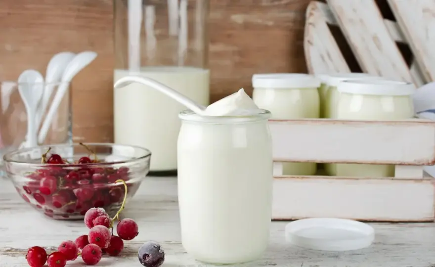 Joghurt selber machen - So gelingt dein cremiger Naturjoghurt