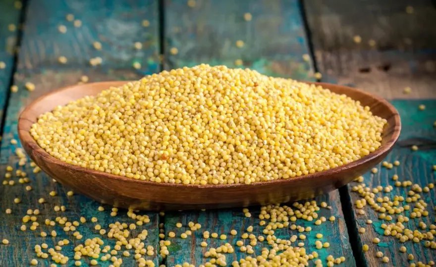 Italienische Hirse-Rezepte - So gelingt Hirse wirklich!