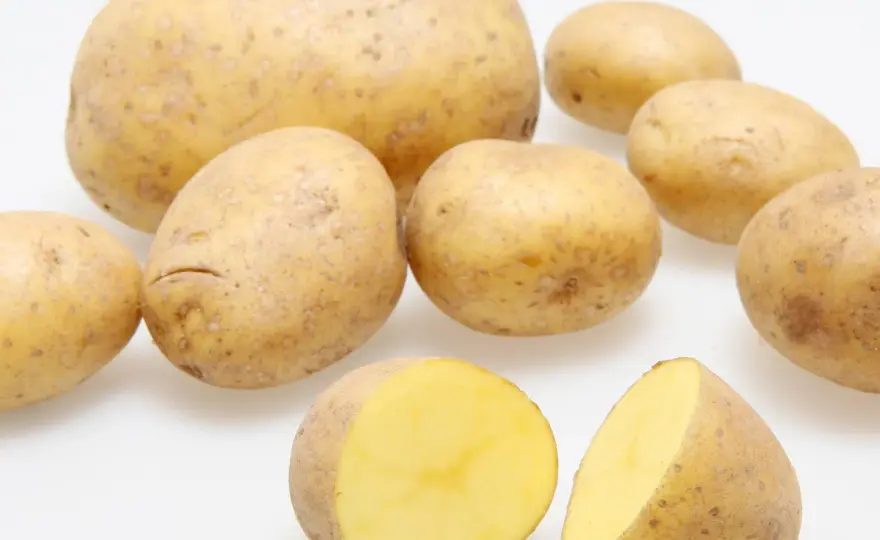 Kartoffeln richtig wählen - Wasser, Stärke & Kochtyp verstehen