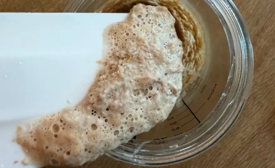 Sauerteig gehen lassen - So erkennst du die perfekte Reife!