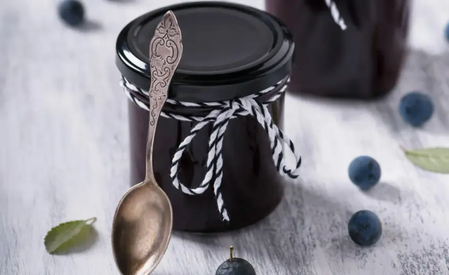 Schlehen verarbeiten - 5 Rezepte für Gelee, Likör & mehr
