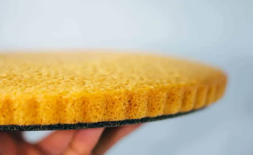 Veganer Tortenboden - So gelingt er perfekt und luftig