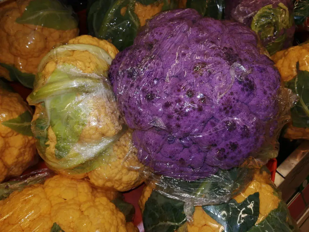 Ein violetter Blumenkohl liegt verpackt zwischen gelben und grünen Blumenkohlen.