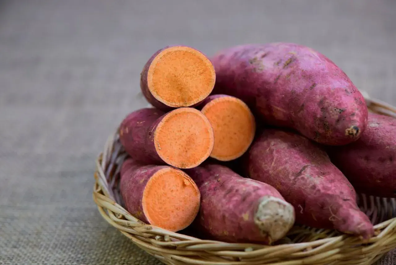 Ein Korb voller tropischer Süßkartoffeln, einige ganz, andere aufgeschnitten, enthüllt ihr leuchtend orangefarbenes Inneres.