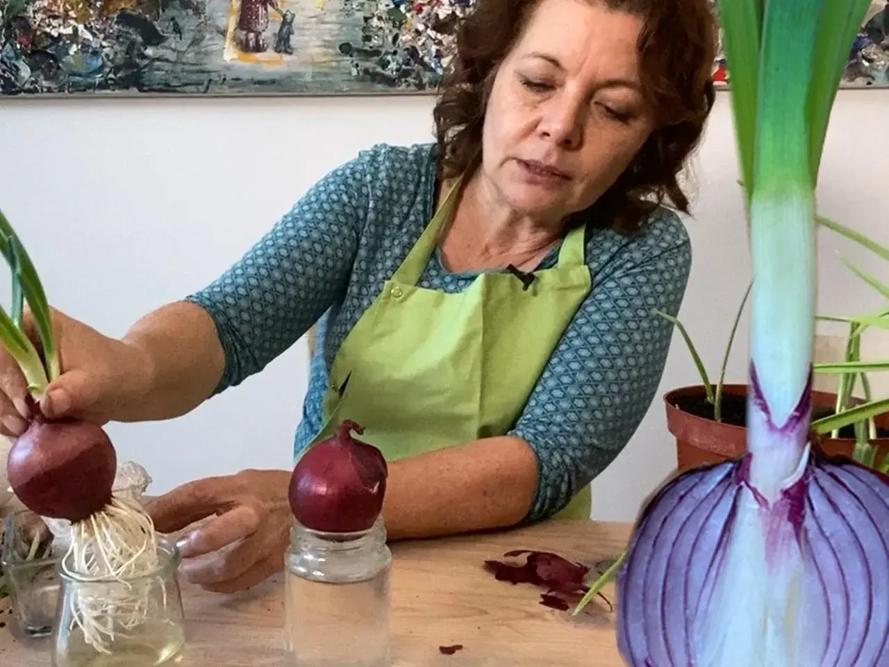 Frau zieht Zwiebeln aus Zwiebeln. Eine Zwiebel mit Wurzeln in einem Glas, daneben eine Zwiebel auf einem Glas. Eine große Zwiebelhälfte im Vordergrund.