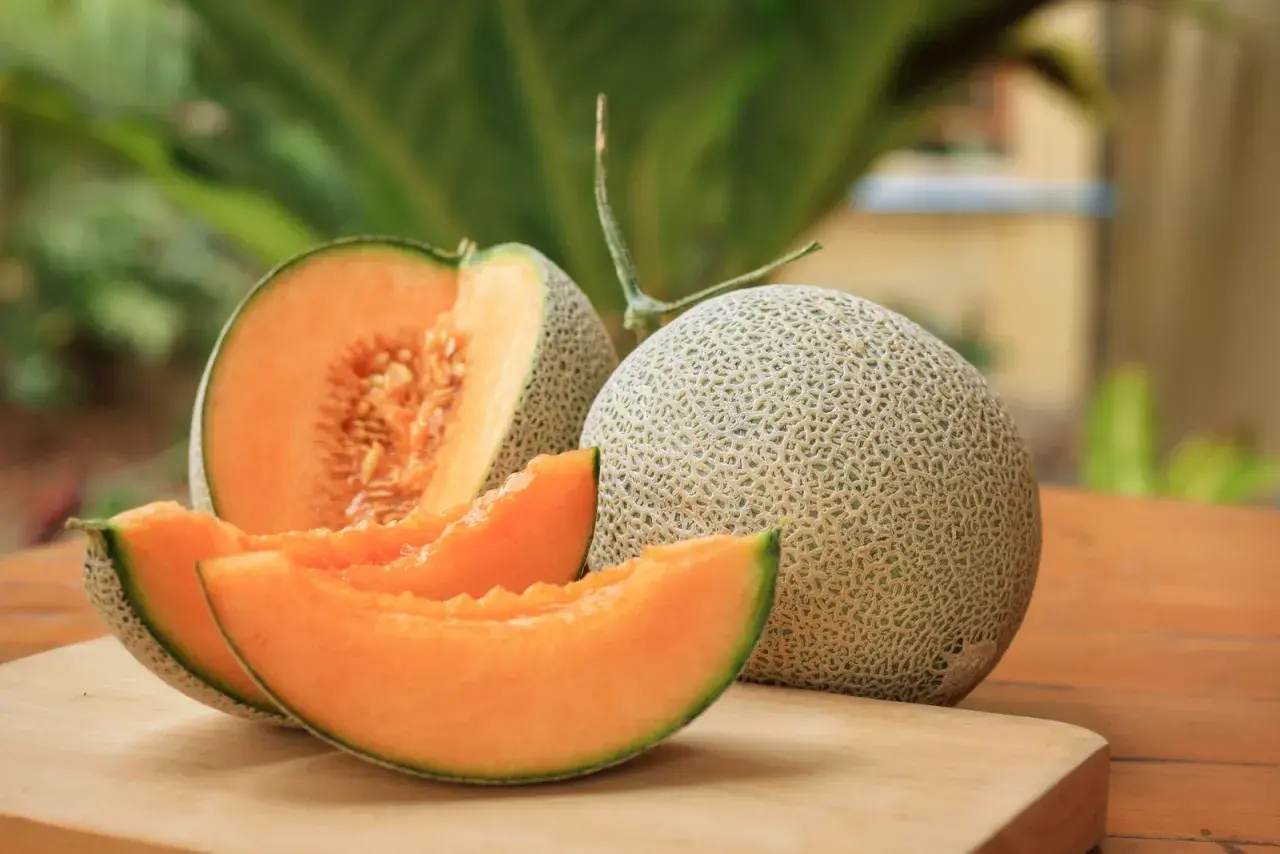 Eine ganze und eine angeschnittene Cantaloupe Melone mit saftigen Scheiben liegen auf einem Holzbrett.
