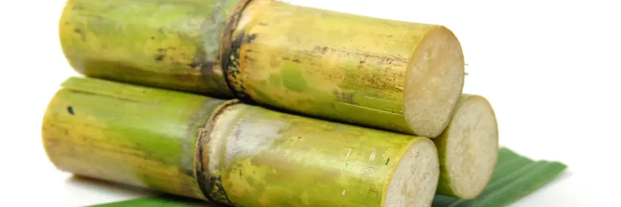 Stapel von grünen Zuckerrohrstangen, die zeigen, was ist rohrzucker: die Quelle für süße Leckereien.