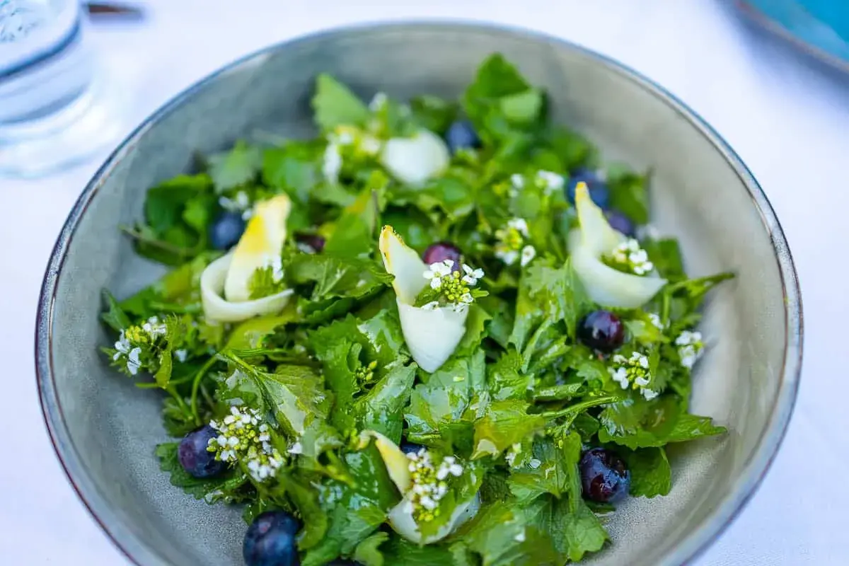 Frischer Salat mit Knoblauchsrauke, Blaubeeren und zarten weißen Blüten. Ein leichtes Gericht, das Lust auf mehr Knoblauchsrauke Rezepte macht.