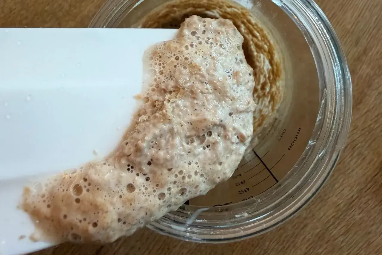 Schaumiger Sauerteig wird mit einem Spatel aus einem Glas geschabt. Die Blasen zeigen, wie lange muss sauerteig gehen, um reif zu sein.