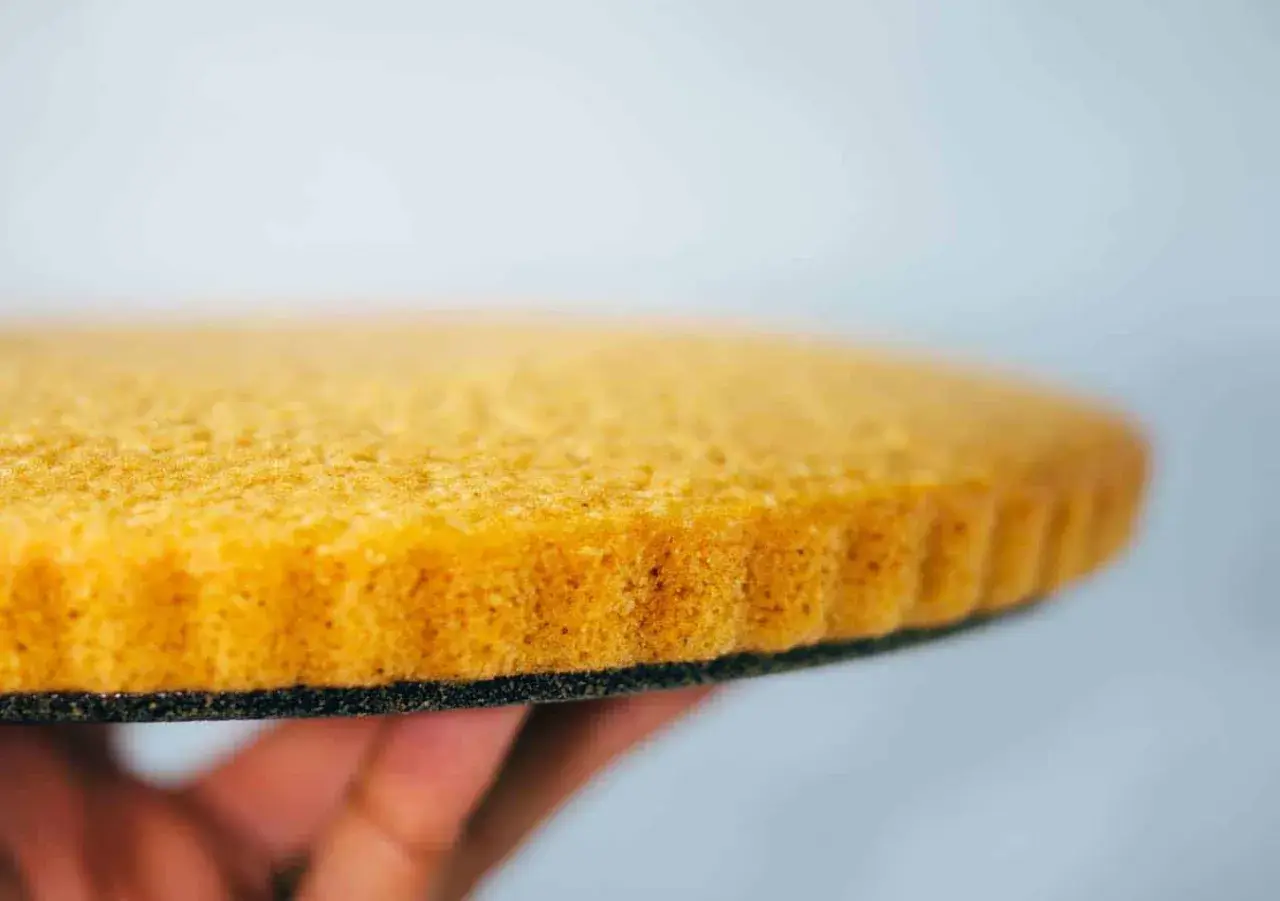 Ein goldbrauner, luftiger veganer Tortenboden wird von einer Hand gehalten. Perfekt für deine nächste Kreation!