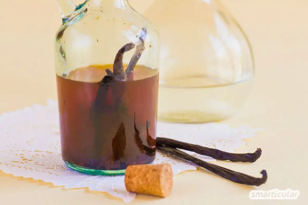 Vanilleextrakt selber machen: Dunkle Vanilleschoten ziehen in einer Glasflasche mit Alkohol. Daneben liegen weitere Schoten und ein Korken.