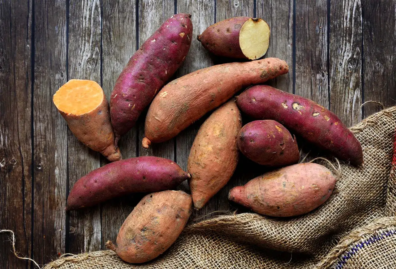Ein Haufen tropischer S&uuml;&szlig;kartoffeln, einige mit violetter Schale, andere orangefarben, liegen auf einem rustikalen Holztisch und einem Jutesack.