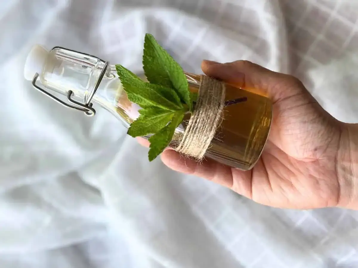 Hand h&auml;lt Flasche mit selbstgemachtem Minzsirup, verziert mit frischen Minzbl&auml;ttern und Juteschnur.