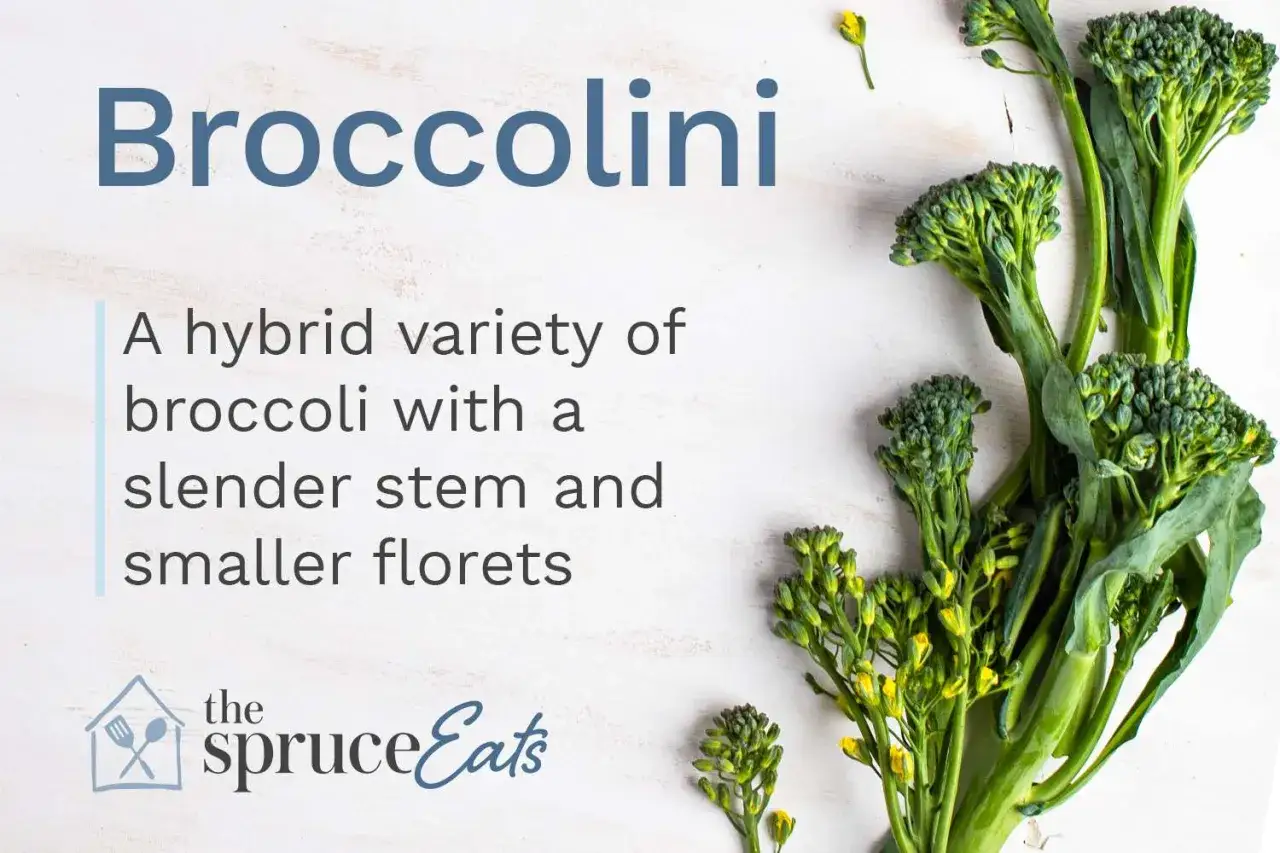 Frischer Broccolini, eine Kreuzung aus Brokkoli, mit zarten Stielen und kleinen R&ouml;schen.