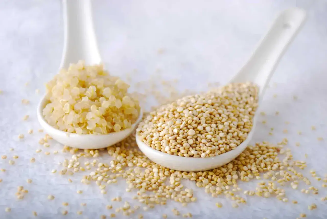 Zwei L&ouml;ffel Quinoa: einer mit ungekochtem Korn, der andere mit gekochtem, das zeigt, wie schmeckt quinoa.